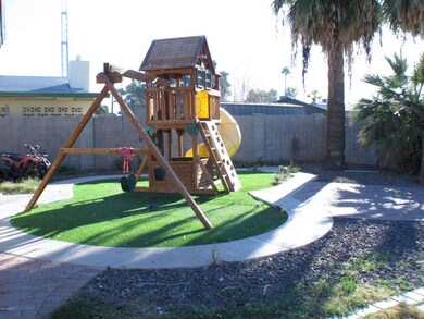 backyard5