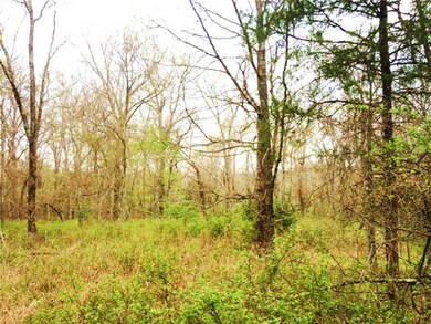 View.