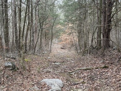 0 Cook Ln unit RTC3054661, Gainesboro, TN 38562 - photo 5