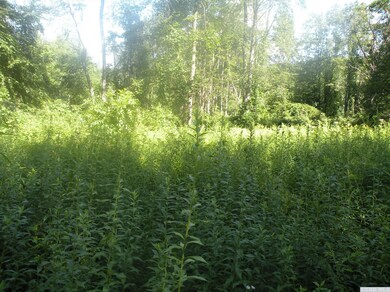 322 Mitchell St, Hillsdale, NY 12529 - photo 7