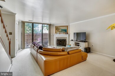 953 S Scott St unit 1, Arlington, VA 22204 - photo 5