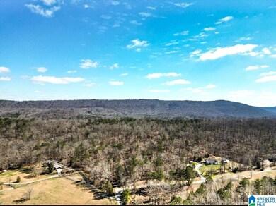 1931 Red Valley Rd, Remlap, AL 35133 - photo 4