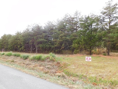 23.22 Ac Brights Rd, Gretna, VA 24557 - photo 3