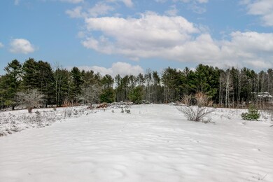 Looking at the back of the property from