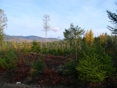 L34E Woodbury Cole Rd, Stark, NH 03582 - photo 6