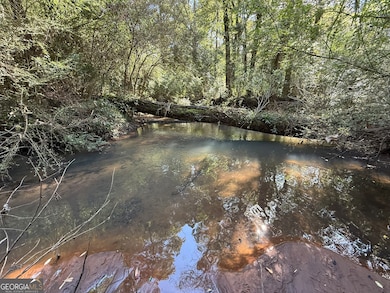 0011GH Wallace Buie Rd, Webb, AL 36376 - photo 5