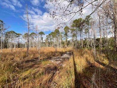 Vacant W Royal Oak Dr, Perry, FL 32348 - photo 7