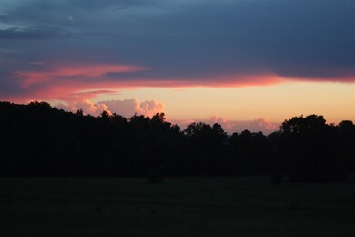 1240 Gowan Rd, Inman, SC 29349 - photo 6