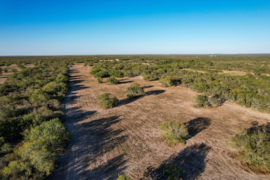 663 San Diego Rd, Tilden, TX 78072 - photo 4