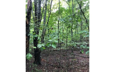 Additional View