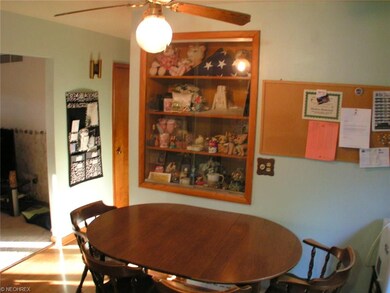 104 Evergreen Dr, Lodi, OH 44254 - photo 2