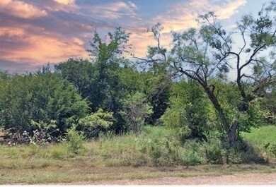 44051 Fringewood Dr, Whitney, TX 76692 - photo 3