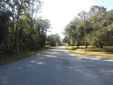 0 SW 69th Place unit MFROM548042, Dunnellon, FL 34431 - photo 2