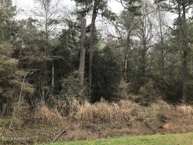 IMG_4416 8.5 acre