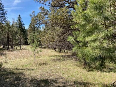 0 Nans Rock Rd unit 220121943, Mount Vernon, OR 97865 - photo 7