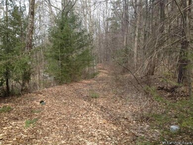 0 Foordmore Rd unit 20133920, Wawarsing, NY 12446 - photo 7