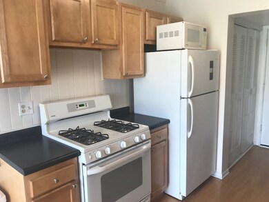 274 Nantucket Harbor unit 803, Schaumburg, IL 60193 - photo 7