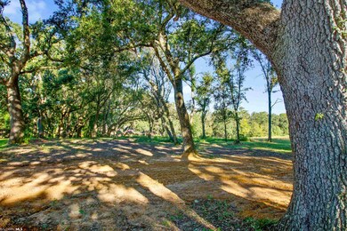 826 Aidan St, Fairhope, AL 36532 - photo 3