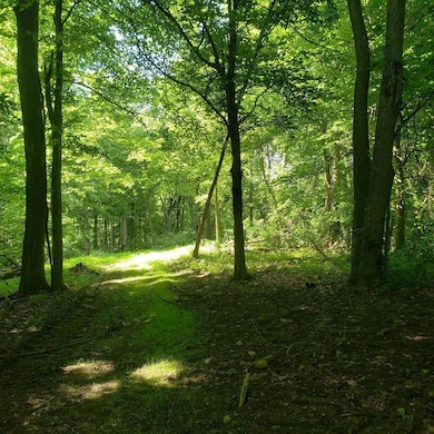 0 Mulberry Rd, Mount Perry, OH 43760 - photo 3