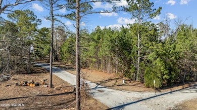 4-web-or-mls-DJI_20250218143409_0735_D