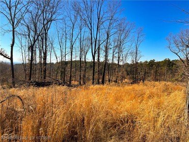 10330 High Rock Rd, Rudy, AR 72952 - photo 7