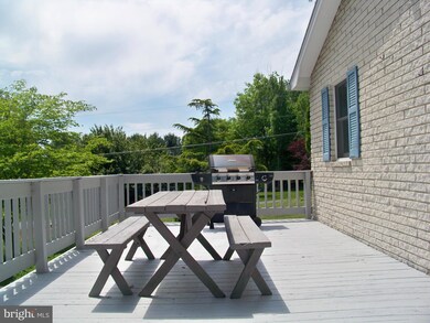 353 Steamboat Run Rd, Shepherdstown, WV 25443 - photo 7