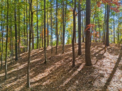 0 Nimmons Bridge Rd, Salem, SC 29676 - photo 5