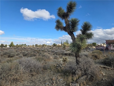 1 Goss Rd, Piñon Hills, CA 92372 - photo 3