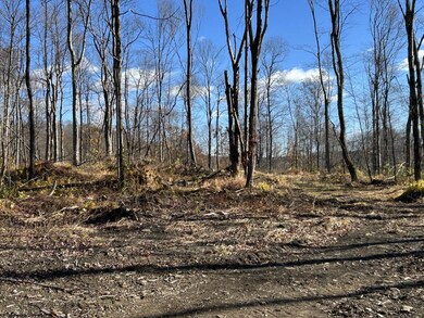TBD Spruce Run Rd, Terra Alta, WV 26764 - photo 2