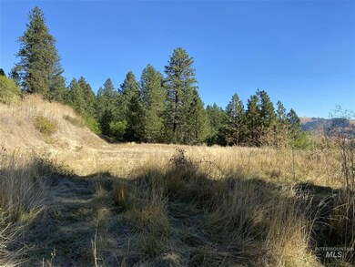 0 River Point Ln unit BETWEEN LENORE AND O, Lenore, ID 83541 - photo 5