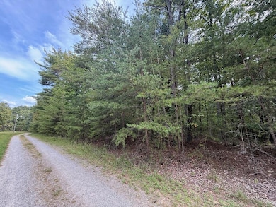 0 Marks Path unit 923123, Henry, VA 24102 - photo 2