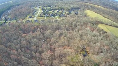 10.08ac Cottontown Rd, Forest, VA 24551 - photo 4