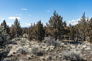 2023_03_29_southwest_texas_circle_lot_36