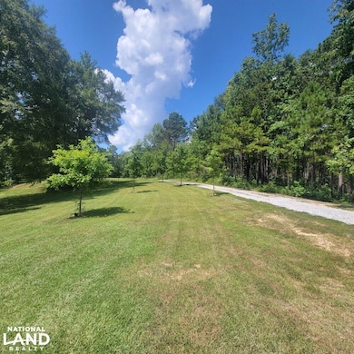 7181 Cr 7, Fitzpatrick, AL 36029 - photo 3