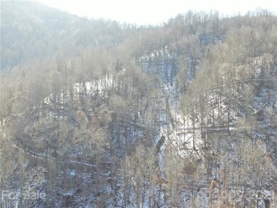 99999 Eagle Rock Ln, Egypt, NC 28714 - photo 7