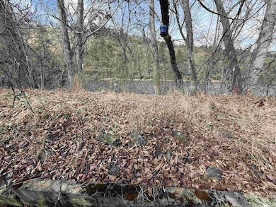 3731 Highway 13, Stites, ID 83552 - photo 4