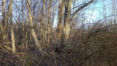 DSCF0073