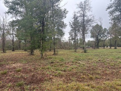 NHN Bent Creek, Picayune, MS 39466 - photo 6