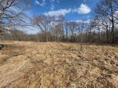 3366 Eagle Creek Rd, Leavittsburg, OH 44430 - photo 3