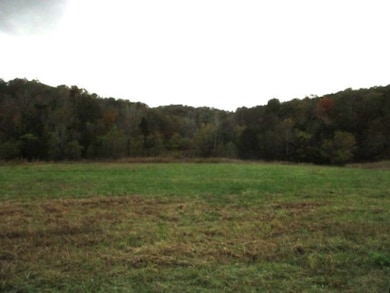 798 Red Tuttle Rd, Bethpage, TN 37022 - photo 2
