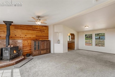 771 Moffat Dr, Cripple Creek, CO 80813 - photo 4