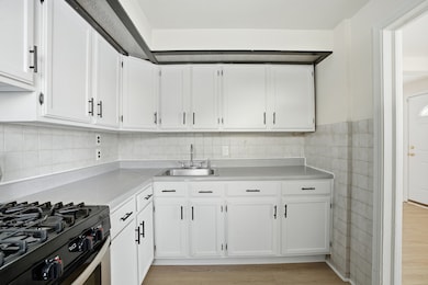 11056 S State Line Rd, Chicago, IL 60617 - photo 7