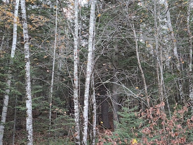 20251023_174516_result