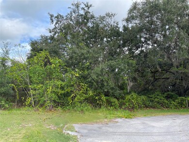 0 SE 97th Ct unit MFROM714505, Summerfield, FL 34491 - photo 5