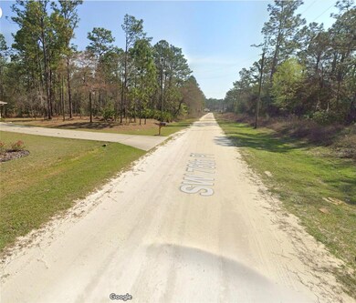 TBA SW 78 Place, Dunnellon, FL 34432 - photo 4