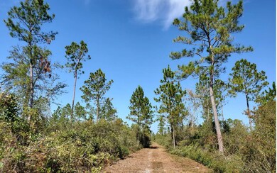 0 County Line & Prine unit 123987, Lee, FL 32059 - photo 7