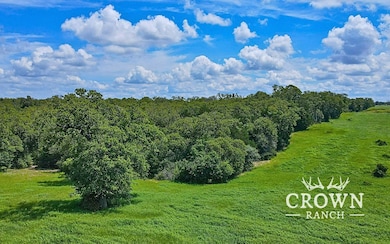 Tbd Fm 908 (+ -1 unit 57 acres, Caldwell, TX 77836 - photo 5