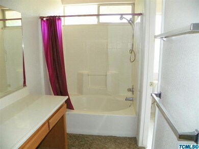 Master tub and shower.