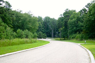 IMG_8852