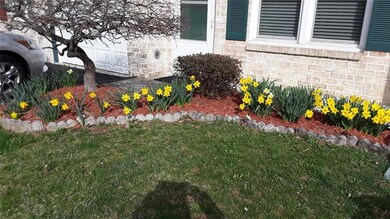 Beautiful daffodils adorn the front entrance annua